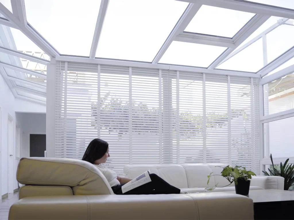 TECHOS ACRISTALADOS Y CLARABOYAS0-con cabeza hacia abajogrande copia